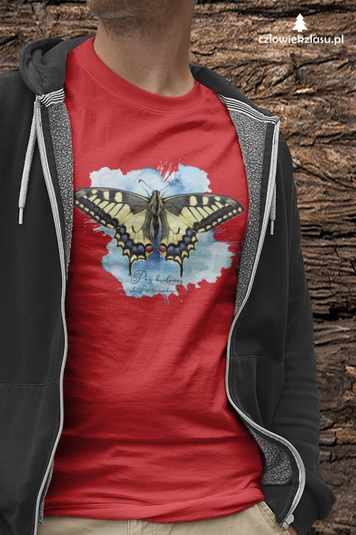 Paź królowej /Papilio machaon/ - prezent dla Lepidopterologa, prezent dla entomologa - Poduszka