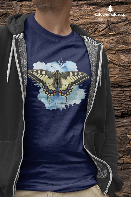 Paź królowej /Papilio machaon/ - prezent dla Lepidopterologa, prezent dla entomologa - Poduszka