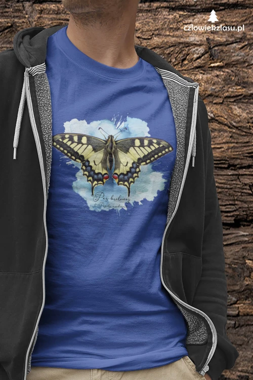 Paź królowej /Papilio machaon/ - prezent dla Lepidopterologa, prezent dla entomologa - Poduszka