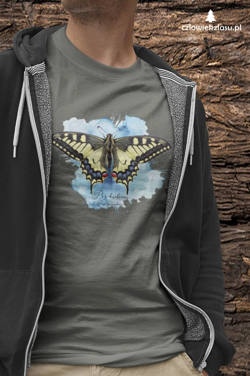 Paź królowej /Papilio machaon/ - prezent dla Lepidopterologa, prezent dla entomologa - Poduszka