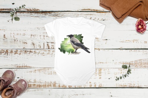 Wrona siwa /Corvus corone/ - Body - Bodziak