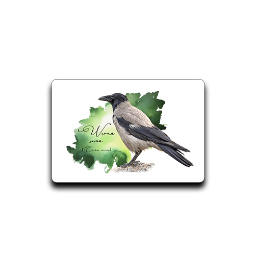 Wrona siwa /Corvus corone/- prezent dla ornitologa - Magnes