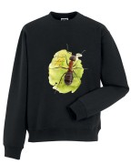 Mrówka rudnica - Formica rufa - Bluza z kapturem / Bluza bez kaptur