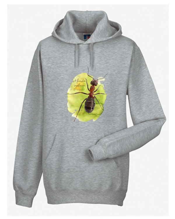Mrówka rudnica - Formica rufa - Bluza z kapturem / Bluza bez kaptur