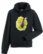 Mrówka rudnica - Formica rufa - Bluza z kapturem / Bluza bez kaptur