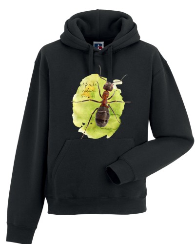 Mrówka rudnica - Formica rufa - Bluza z kapturem / Bluza bez kaptur