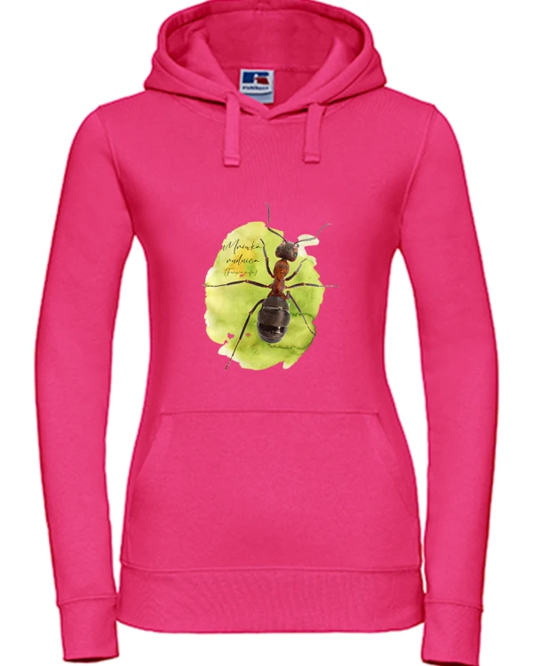 Mrówka rudnica - Formica rufa - Bluza z kapturem / Bluza bez kaptur