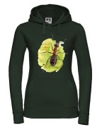 Mrówka rudnica - Formica rufa - Bluza z kapturem / Bluza bez kaptur