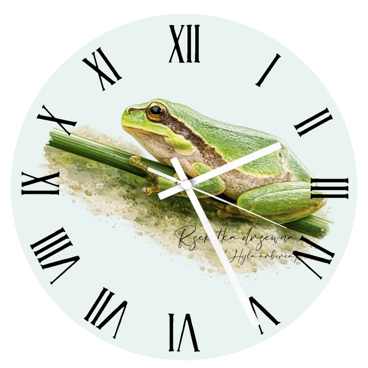 Zegar - Rzekotka drzewna /Hyla arborea/