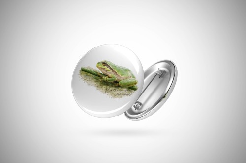 Rzekotka drzewna (Hyla arborea) - Przypinka - Button