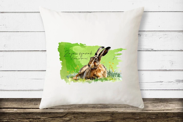 Zając szarak /Lepus europaeus/ - Poduszka z zającem