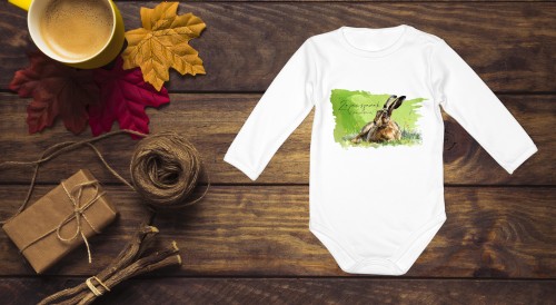 Zając szarak /Lepus europaeus/ - Body - Bodziak