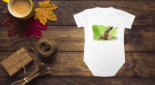 Zając szarak /Lepus europaeus/ - Body - Bodziak
