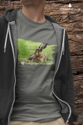 Zając szarak /Lepus europaeus/ 2 - Koszulka