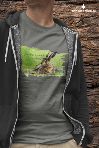 Zając szarak /Lepus europaeus/ 2 - Koszulka