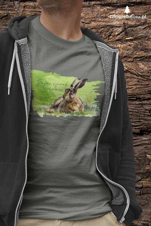 Zając szarak /Lepus europaeus/ 2 - Koszulka