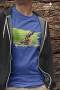 Zając szarak /Lepus europaeus/ 2 - Koszulka