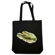 Rzekotka drzewna /Hyla arborea/2 – prezent dla Herpetologa - Torba naturalna