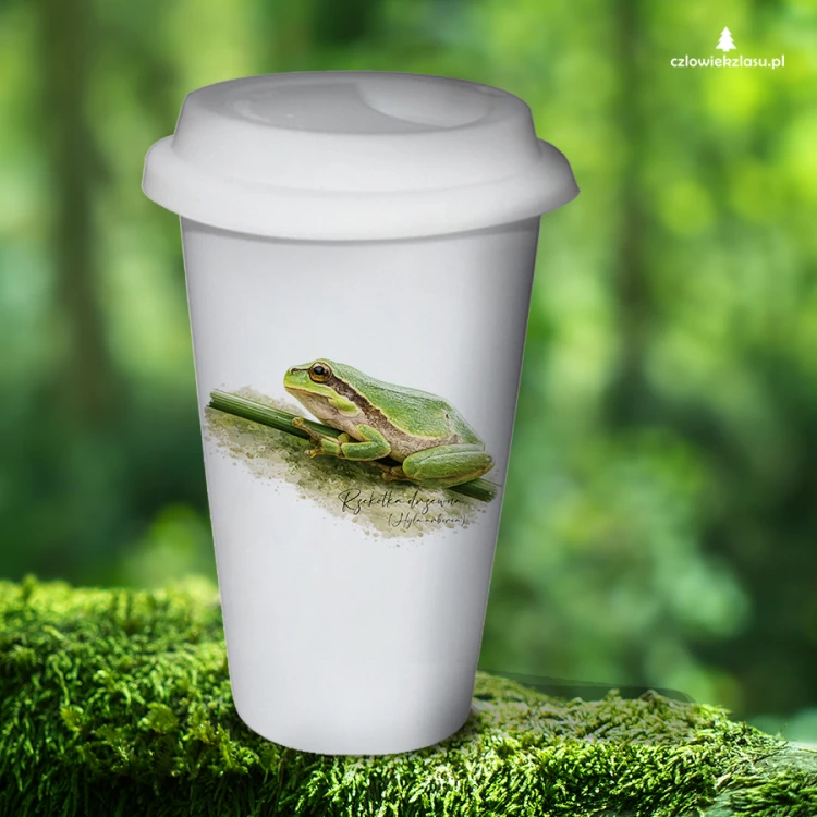 Rzekotka drzewna /Hyla arborea/ – prezent dla Herpetologa - Tumbler