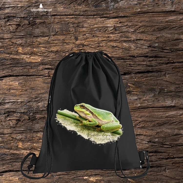 Rzekotka drzewna /Hyla arborea/ – prezent dla Herpetologa - Worek-Plecak