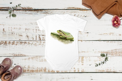 Rzekotka drzewna /Hyla arborea/ – prezent dla Herpetologa - Body