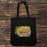 Jaszczurka zwinka /Lacerta agilis/ – prezent dla herpetologa - Torba naturalna