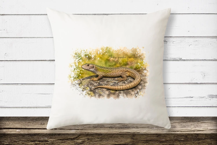 Jaszczurka zwinka /Lacerta agilis/ – prezent dla herpetologa - Poduszka