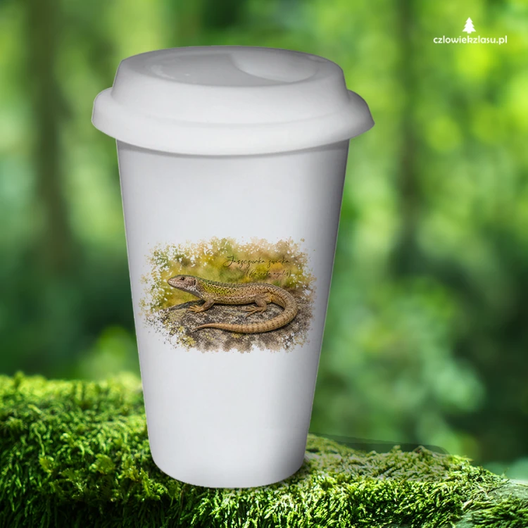 Jaszczurka zwinka /Lacerta agilis/ – prezent dla herpetologa - Tumbler