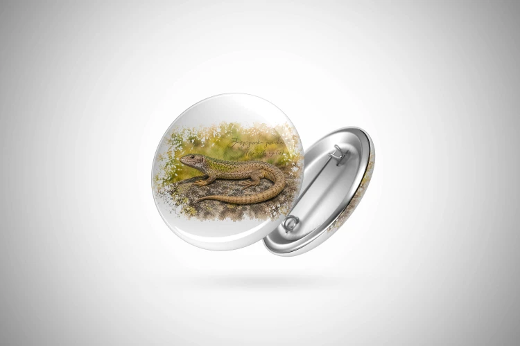 Jaszczurka zwinka /Lacerta agilis/ – prezent dla herpetologa - Przypinka - Button