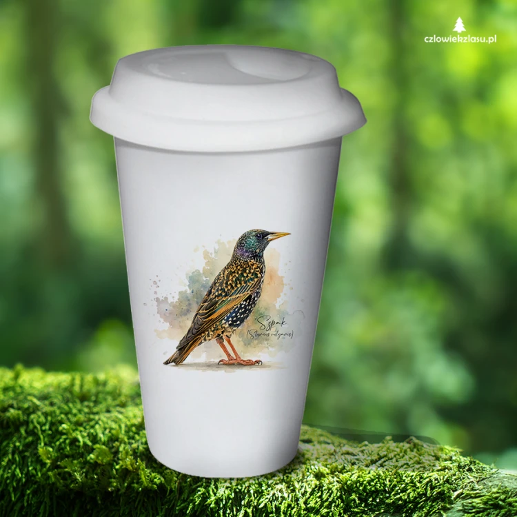 Szpak /Sturnus vulgaris/ - prezent dla ornitologa - Tumbler