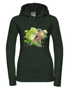Zięba /Fringilla coelebs/ - prezent dla ornitologa - Bluza z kapturem / Bluza bez kaptura