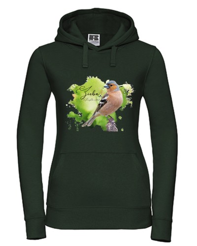 Zięba /Fringilla coelebs/ - prezent dla ornitologa - Bluza z kapturem / Bluza bez kaptura