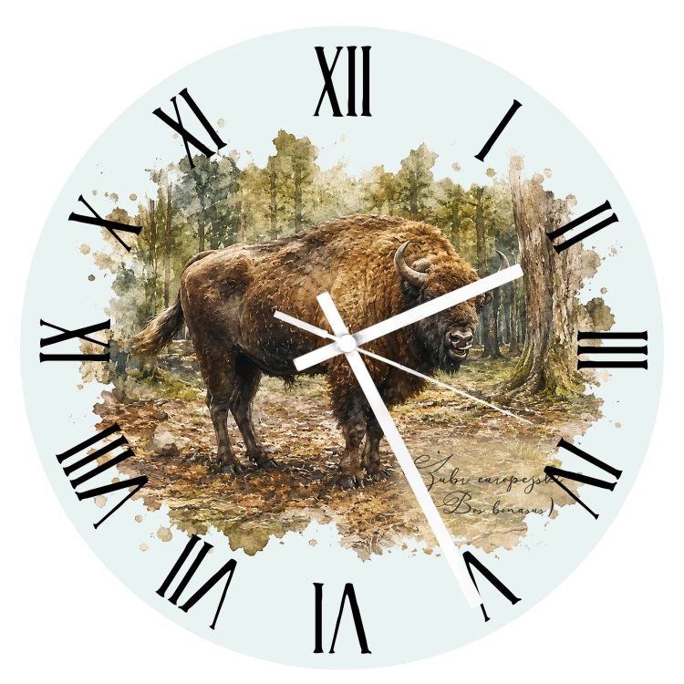 Żubr/Bos bonasus/ - prezent dla przyrodnika - zegar