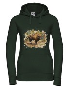 Żubr /Bos bonasus/- Bluza z kapturem / Bluza bez kaptura