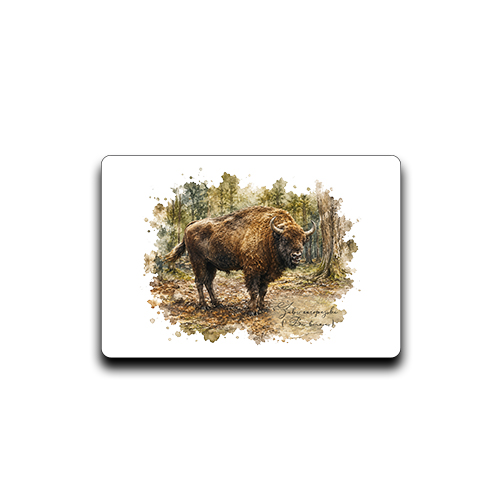 Żubr /Bos bonasus/ - Magnes