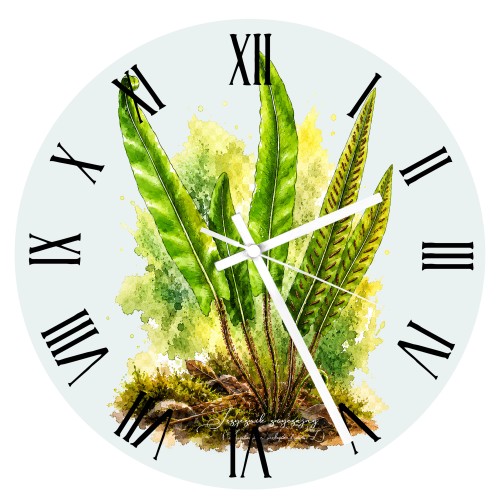 Szklany zegar z języcznikiem zwyczajnym (Asplenium scolopendrium) - autorska grafika Pauliny Strejczek-Jaźwińskiej. Średnica 30 cm, białe metalowe wskazówki. Kolekcja Paprocie, Człowiek z Lasu.