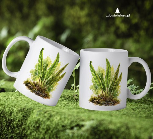 Języcznik zwyczajny /Asplenium scolopendrium/ - prezent dla botanika, prezent dla florysty, miłośnika roślin - kubek ceramiczny