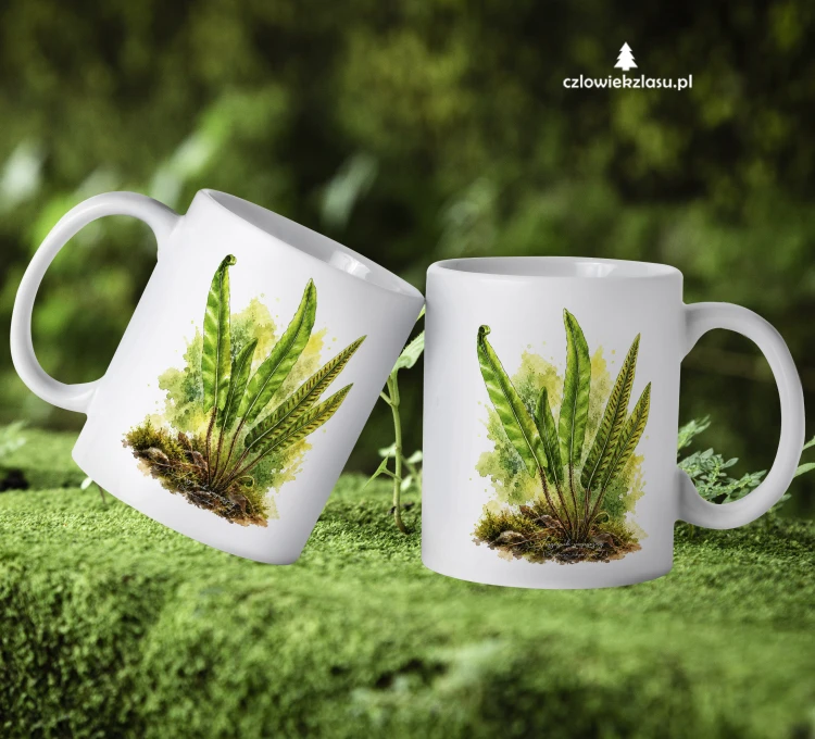 Języcznik zwyczajny /Asplenium scolopendrium/ - prezent dla botanika, prezent dla florysty, miłośnika roślin - kubek ceramiczny