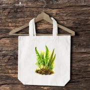 Języcznik zwyczajny /Asplenium scolopendrium/ - prezent dla botanika, prezent dla florysty, miłośnika roślin - Torba naturalna