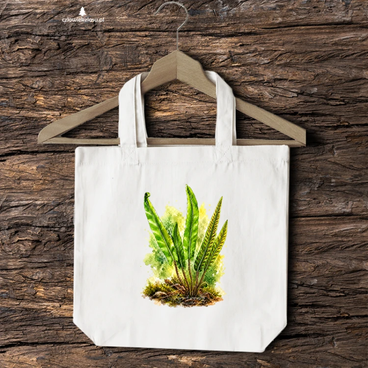 Języcznik zwyczajny /Asplenium scolopendrium/ - prezent dla botanika, prezent dla florysty, miłośnika roślin - Torba naturalna