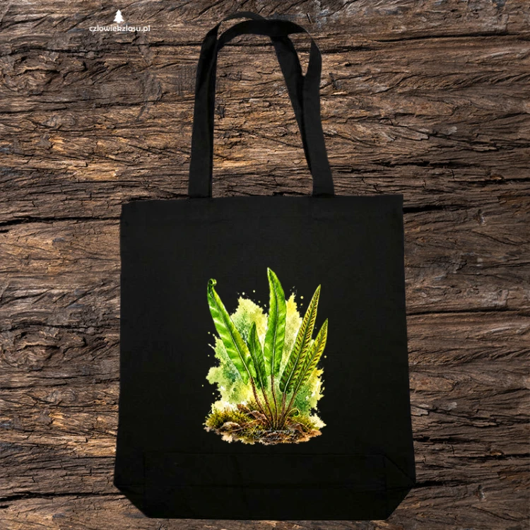 Języcznik zwyczajny /Asplenium scolopendrium/ - prezent dla botanika, prezent dla florysty, miłośnika roślin - Torba naturalna