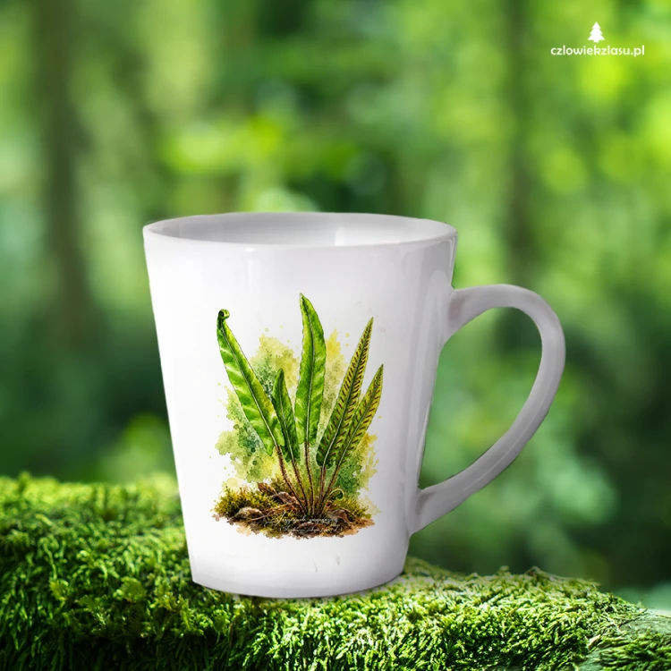 Języcznik zwyczajny /Asplenium scolopendrium/ - prezent dla botanika, prezent dla florysty, miłośnika roślin - Kubek latte