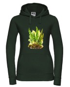 Języcznik zwyczajny /Asplenium scolopendrium/ - prezent dla botanika, prezent dla florysty, miłośnika roślin - Bluza z kapturem