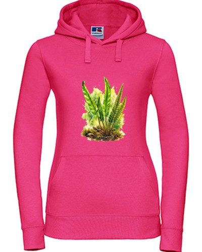 Języcznik zwyczajny /Asplenium scolopendrium/ - prezent dla botanika, prezent dla florysty, miłośnika roślin - Bluza z kapturem