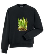 Języcznik zwyczajny /Asplenium scolopendrium/ - prezent dla botanika, prezent dla florysty, miłośnika roślin - Bluza z kapturem