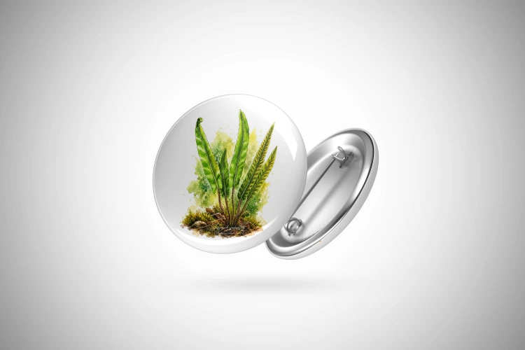 Języcznik zwyczajny /Asplenium scolopendrium/ - prezent dla botanika, prezent dla florysty, miłośnika roślin - Przypinka