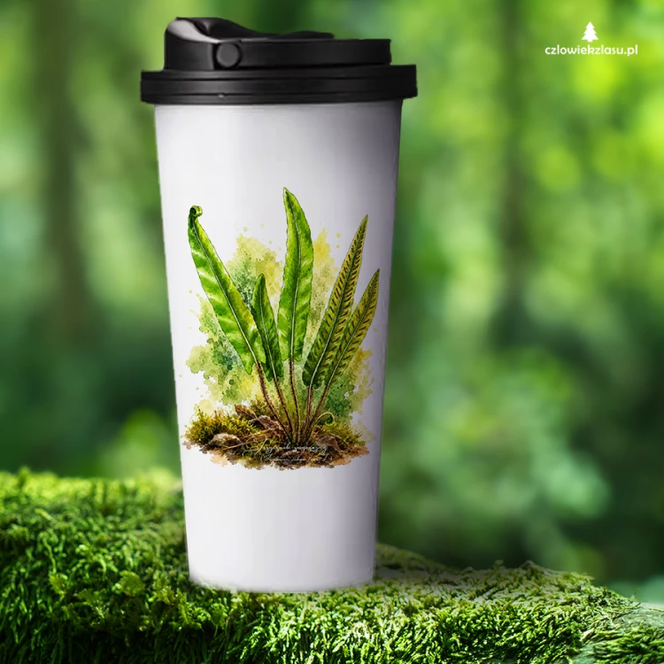 Języcznik zwyczajny /Asplenium scolopendrium/ - prezent dla botanika, prezent dla florysty, miłośnika roślin - Kubek termiczny
