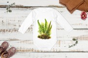 Języcznik zwyczajny /Asplenium scolopendrium/ - prezent dla botanika, prezent dla florysty, miłośnika roślin - Body