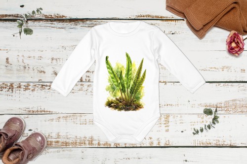 Języcznik zwyczajny /Asplenium scolopendrium/ - prezent dla botanika, prezent dla florysty, miłośnika roślin - Body
