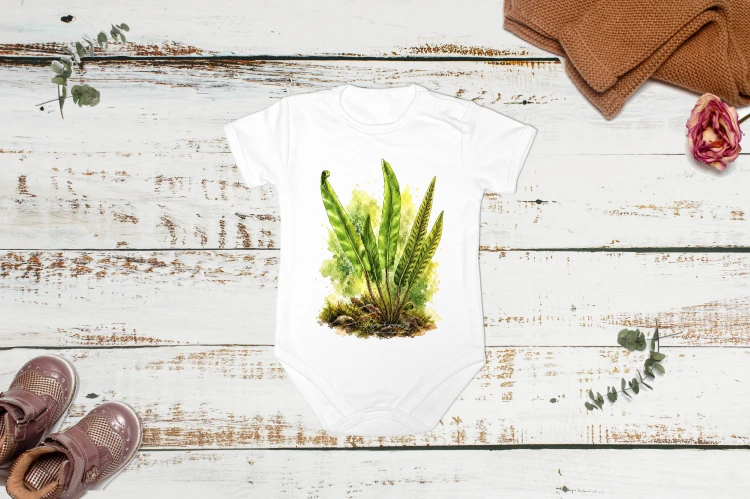 Języcznik zwyczajny /Asplenium scolopendrium/ - prezent dla botanika, prezent dla florysty, miłośnika roślin - Body